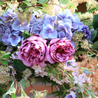 滋賀大津のネイル＆痩身エステサロン Rolisse(ロ・リース)